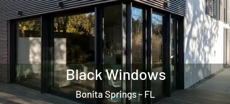  Black Windows Bonita Springs - FL