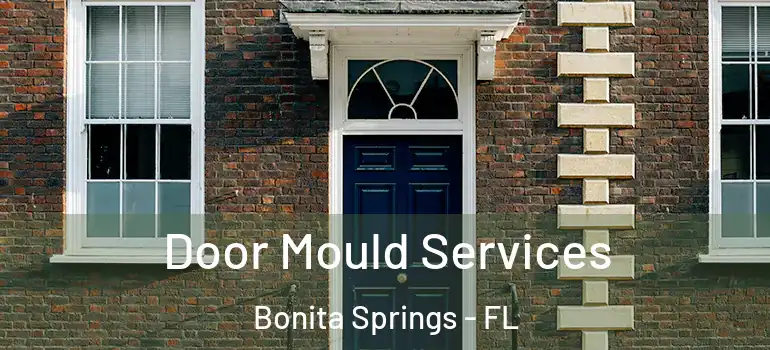  Door Mould Services Bonita Springs - FL