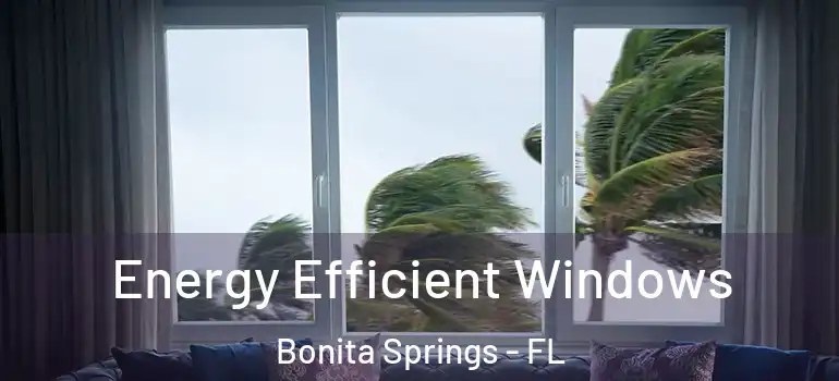  Energy Efficient Windows Bonita Springs - FL