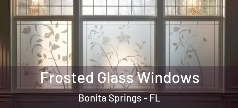  Frosted Glass Windows Bonita Springs - FL