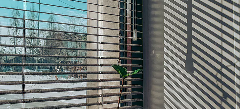 Commercial Window Blinds in Bonita Springs, FL