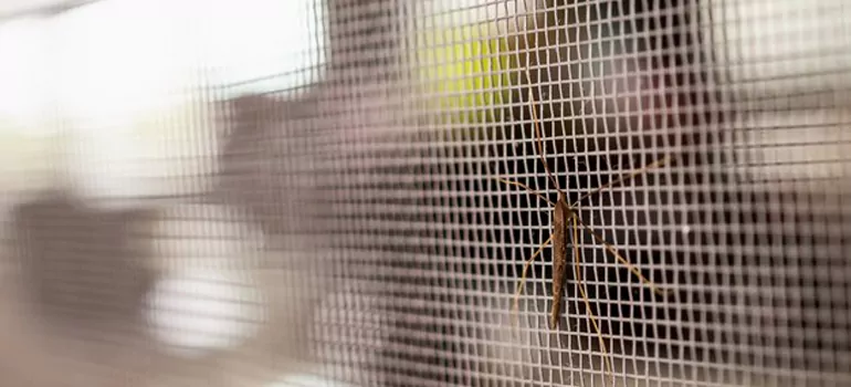 Repair Mosquito Mesh For Windows in Bonita Springs, FL