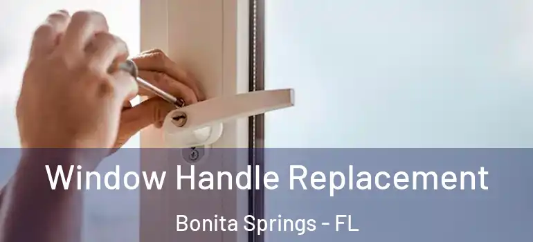  Window Handle Replacement Bonita Springs - FL