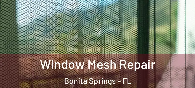  Window Mesh Repair Bonita Springs - FL